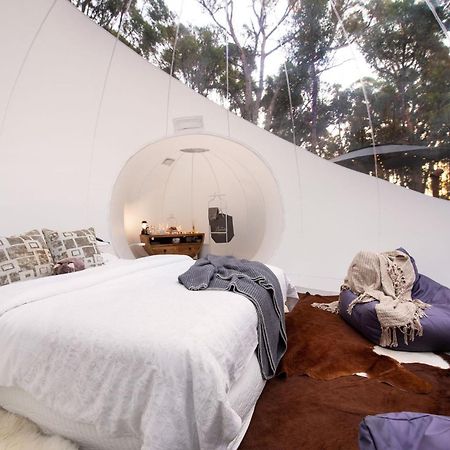 Skyview Bubbletent Eganstown Εξωτερικό φωτογραφία