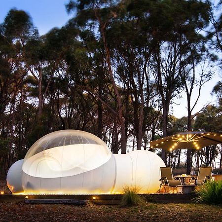 Skyview Bubbletent Eganstown Εξωτερικό φωτογραφία